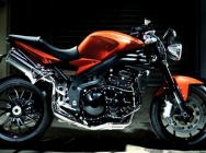 Мотоцикл Triumph Speed Triple 2010 фото