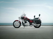 Мотоцикл Triumph Thunder bird 1600 2013 фото