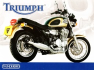 Мотоцикл Triumph Thunderbird 900 1995 фото