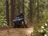 Мотоцикл Yamaha BIG BEAR 400 4X4 IRS 2011 фото