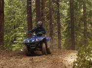 Мотоцикл Yamaha BIG BEAR 400 2012 фото