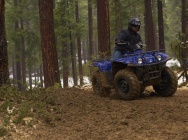 Мотоцикл Yamaha BIG BEAR 400 2012 фото