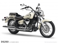 Мотоцикл Yamaha DS 250 DRAGSTAR 2012 фото