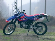 Мотоцикл Yamaha DT 125RE Everts Replica 2005 фото