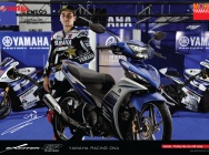Мотоцикл Yamaha EXCITER 135 2012 фото