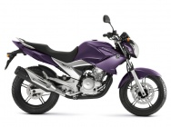 Мотоцикл Yamaha FAZER 250 2013 фото