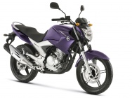 Мотоцикл Yamaha FAZER YS 250 2013 фото
