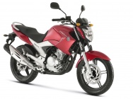 Мотоцикл Yamaha FAZER YS 250 2013 фото