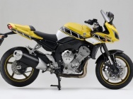 Мотоцикл Yamaha FZ-1 Fazer Limited Edition 2009 фото