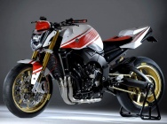Мотоцикл Yamaha FZ-1 N Abarth Assetto Corse 2009 фото