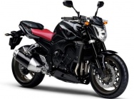 Мотоцикл Yamaha FZ-1 N 2009 фото
