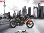 Мотоцикл Yamaha FZ-S 150 2012 фото