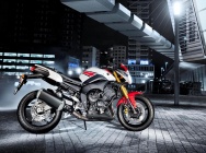 Мотоцикл Yamaha FZ8-N WGP 50TH 2012 фото