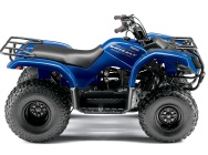 Мотоцикл Yamaha GRIZZLY 125 2011 фото
