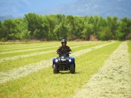 Мотоцикл Yamaha GRIZZLY 125 2012 фото