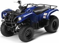 Мотоцикл Yamaha GRIZZLY 125 2012 фото