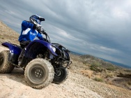 Мотоцикл Yamaha GRIZZLY 125 2012 фото