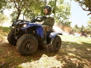 Мотоцикл Yamaha GRIZZLY 125 2013 фото