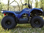 Мотоцикл Yamaha GRIZZLY 125 2013 фото