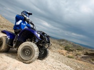 Мотоцикл Yamaha GRIZZLY 125 2013 фото