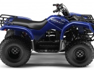 Мотоцикл Yamaha GRIZZLY 125 2013 фото