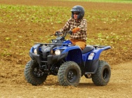 Мотоцикл Yamaha GRIZZLY 300 AUTOMATIC USA 2013 фото