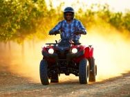 Мотоцикл Yamaha GRIZZLY 300 AUTOMATIC USA 2013 фото