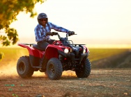 Мотоцикл Yamaha GRIZZLY 300 AUTOMATIC USA 2013 фото