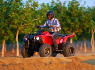 Мотоцикл Yamaha GRIZZLY 300 AUTOMATIC USA 2013 фото