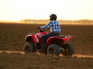 Мотоцикл Yamaha GRIZZLY 300 AUTOMATIC USA 2013 фото