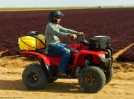 Мотоцикл Yamaha GRIZZLY 300 AUTOMATIC USA 2013 фото