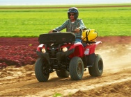 Мотоцикл Yamaha GRIZZLY 300 AUTOMATIC USA 2013 фото