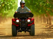 Мотоцикл Yamaha GRIZZLY 300 AUTOMATIC USA 2013 фото