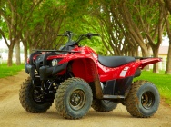 Мотоцикл Yamaha GRIZZLY 300 AUTOMATIC USA 2013 фото