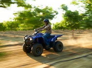Мотоцикл Yamaha GRIZZLY 300 AUTOMATIC USA 2013 фото
