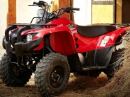 Мотоцикл Yamaha GRIZZLY 300 2012 фото