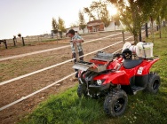 Мотоцикл Yamaha GRIZZLY 300 2012 фото