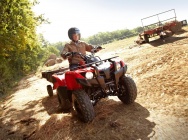 Мотоцикл Yamaha GRIZZLY 300 2012 фото