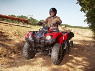 Мотоцикл Yamaha GRIZZLY 300 2013 фото