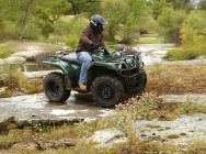 Мотоцикл Yamaha GRIZZLY 350 2WD 2011 фото