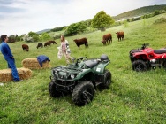 Мотоцикл Yamaha GRIZZLY 350 4WD 2013 фото