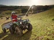 Мотоцикл Yamaha GRIZZLY 350 EPS 2012 фото