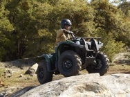 Мотоцикл Yamaha GRIZZLY 450 4X4 EPS 2011 фото