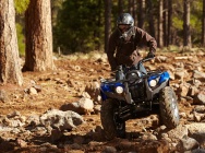 Мотоцикл Yamaha GRIZZLY 450 AUTO 4X4 EPS 2013 фото