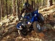 Мотоцикл Yamaha GRIZZLY 450 AUTO 4X4 EPS 2013 фото