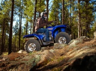 Мотоцикл Yamaha GRIZZLY 450 AUTO 4X4 EPS 2013 фото