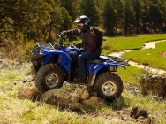 Мотоцикл Yamaha GRIZZLY 450 AUTO 4X4 EPS 2013 фото