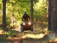 Мотоцикл Yamaha GRIZZLY 450 AUTO 4X4 EPS 2013 фото