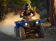 Мотоцикл Yamaha GRIZZLY 450 AUTO 4X4 EPS 2013 фото