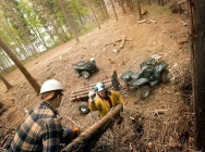 Мотоцикл Yamaha GRIZZLY 550 EPS SE 2013 фото